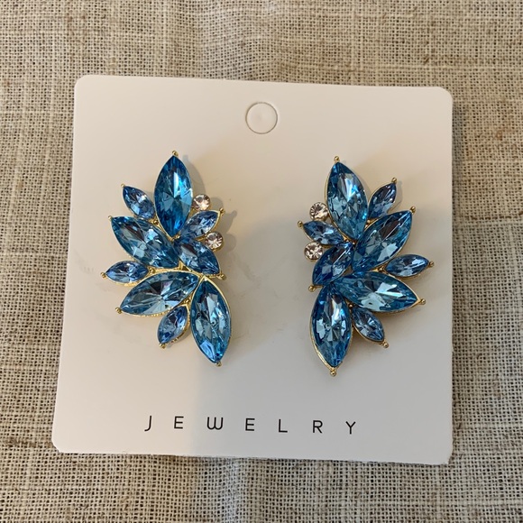 SHEIN Jewelry - Blue Crystal Leaf Cluster Earrings - Jewelry
